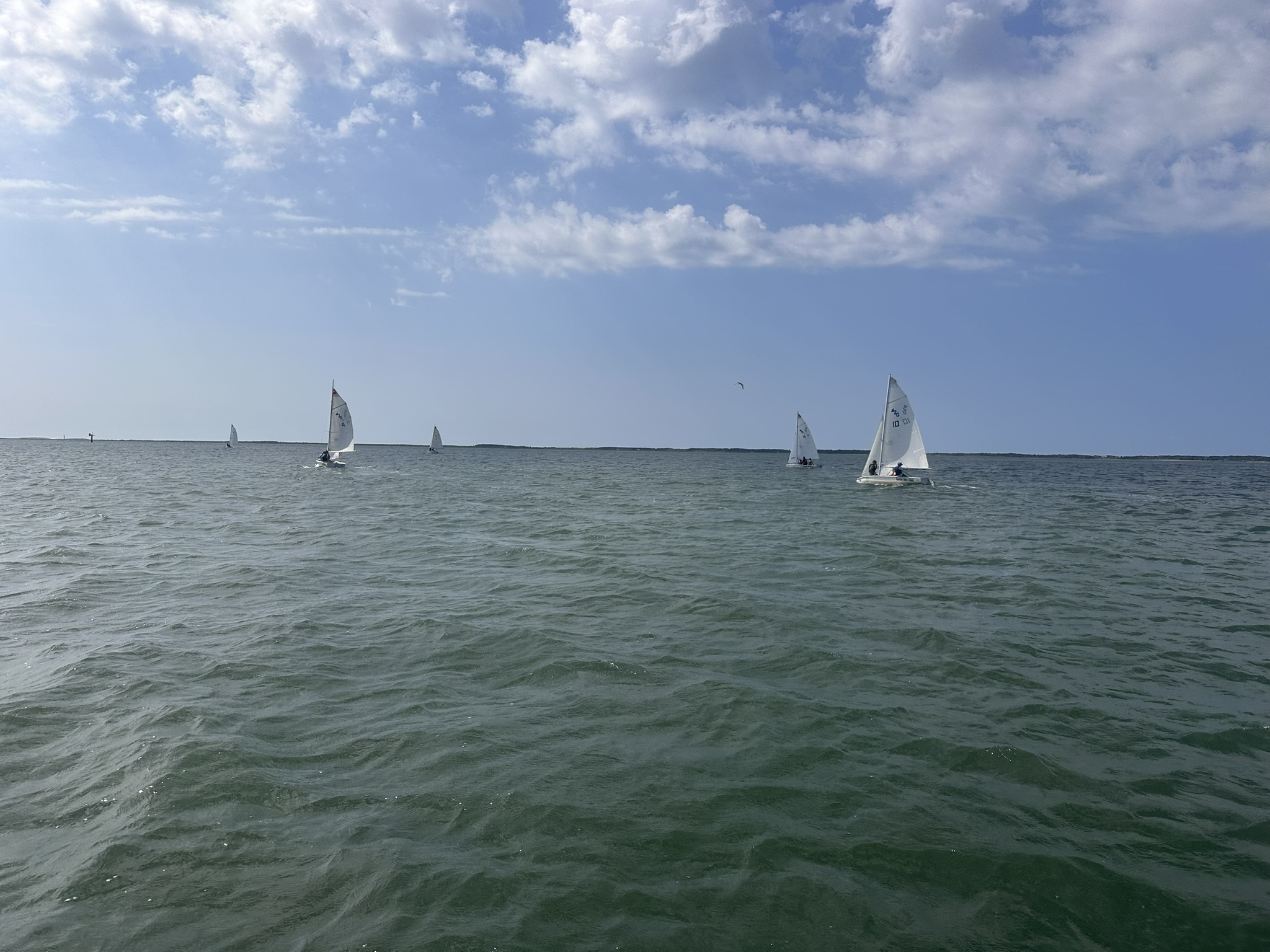 Sailboats out on the water