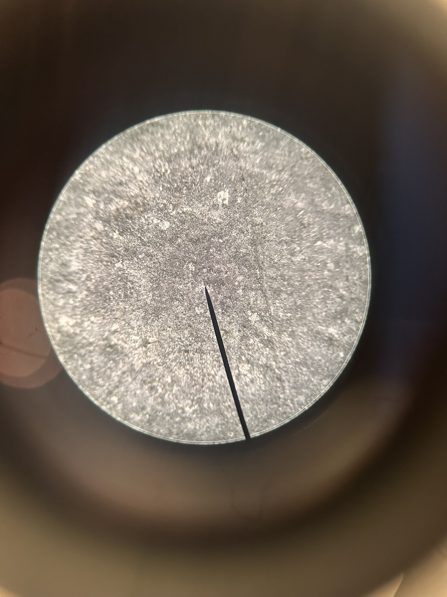 Microscope view of a zinc sample